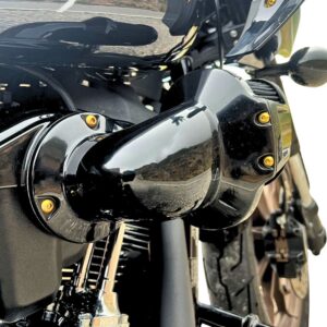 Luftfilter Schrauben 117er - pass. f. Harley Davidson