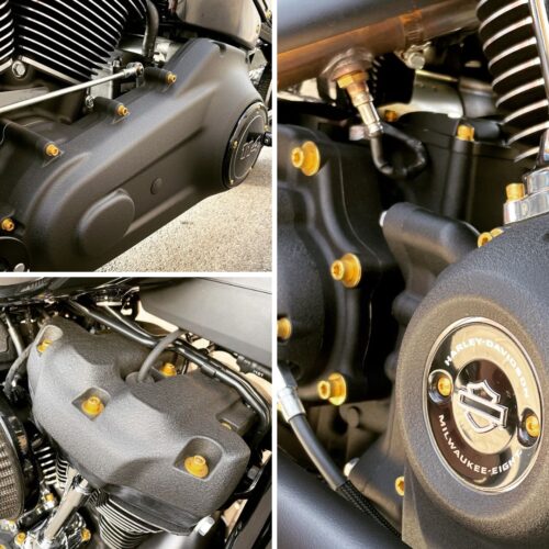 Softail Schraubensatz komplett | pass. f. Softail – Bild 3