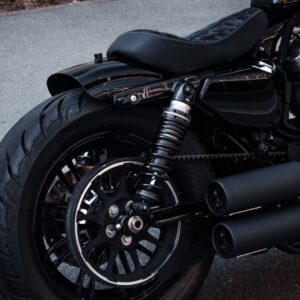 Stoßdämpfer Schrauben | pass. f. Sportster | Titan