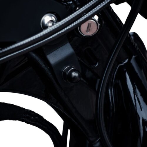 Tank Schrauben | pass. f. Sportster – Bild 4
