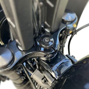 Gabelschaft Schraube - pass. f. Softail ab 18