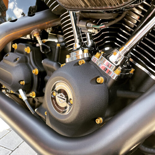 Motorschrauben Set | pass. f. Softail Milwaukee-Eight – Bild 7