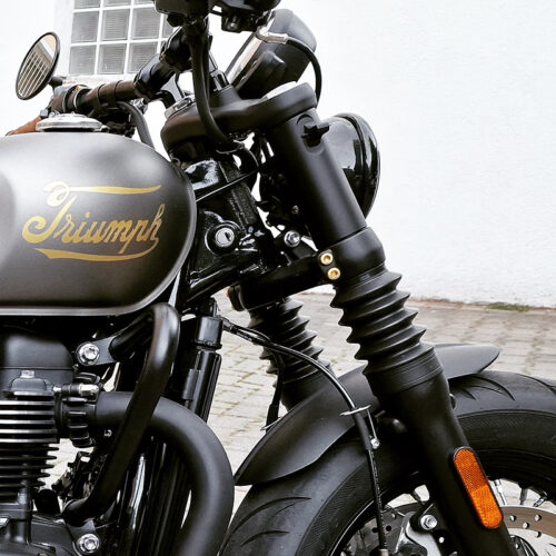 Vordergabel Schrauben | pass. f. Triumph Street Scrambler