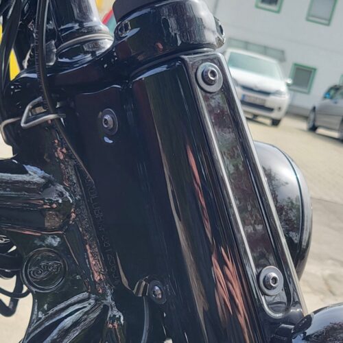 Gabel Schrauben | pass. f. Indian Scout, FTR, Cruiser – Bild 4