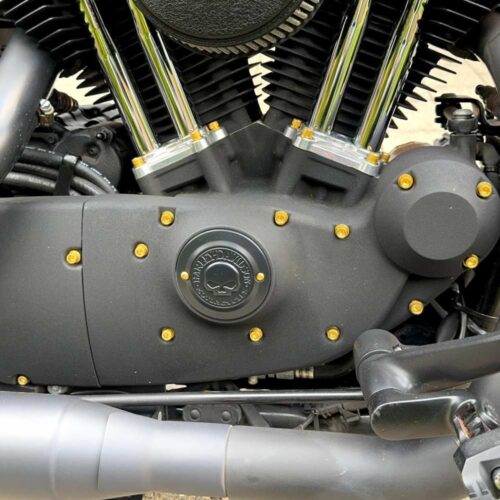 Motorschrauben Set | pass. f. Sportster – Bild 10
