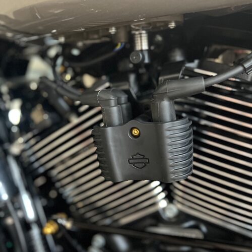 Schraube Electronic Control Modul (ECM) | pass. f. Harley Softail – Bild 2