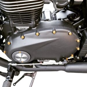 Kettenschutz Schraube | pass. f. Triumph Street Scrambler