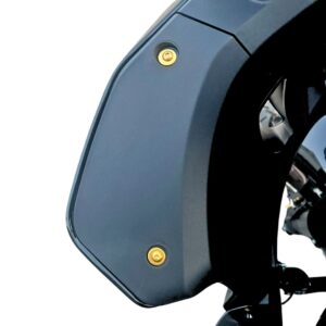Inneres Windschild - Schrauben | pass. f. Low Rider ST
