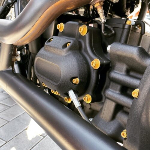 Getriebedeckel Schrauben - pass. f. Softail & Dyna – Bild 2