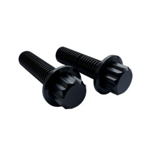 Schwingarm Schrauben Titan | pass. f. Harley Softail ab 2018