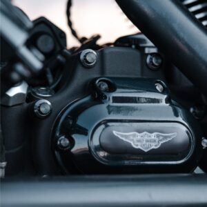 12-Kant Getriebedeckel Schrauben-Set | pass. f. Harley Softail & Dyna