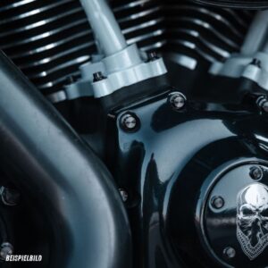 12-Kant Nockenwellen- & Timer Cover Schrauben-Set | pass. f. Harley Softail, Dyna & Touring